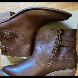 Ankle boots from lucky brand